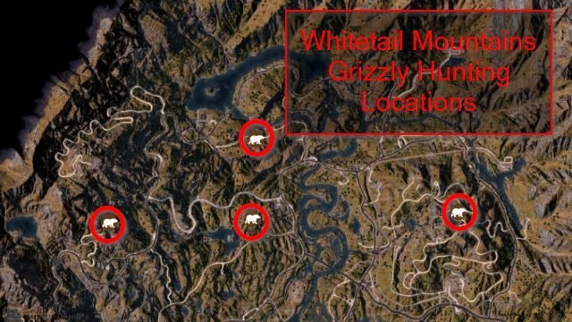 find grizzly bears in far cry 5