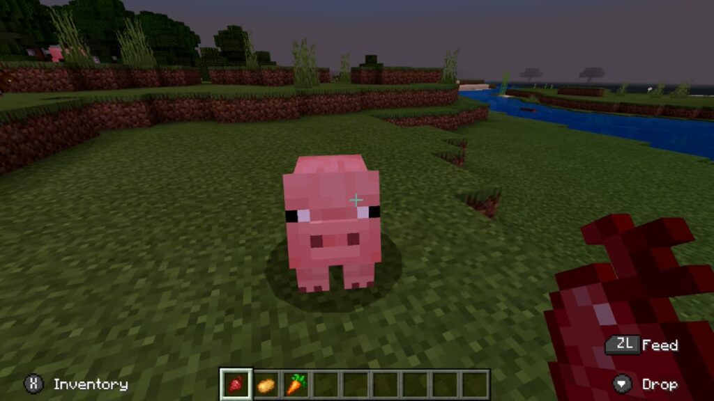 pigs eat in minecraft
