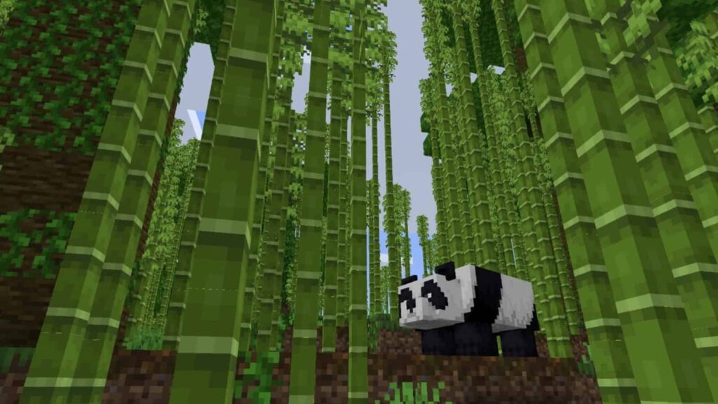 How to Grow Bamboo Minecraft