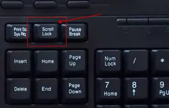 where is the scroll lock key on a dell laptop