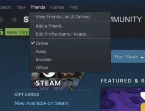 How To Appear Invisible/Offline in Steam