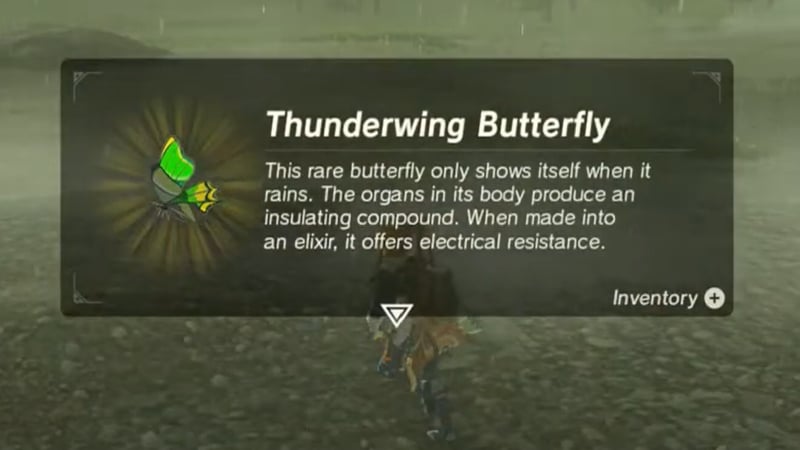 How To Get Thunderwing Butterflies In Tears Of The Kingdom