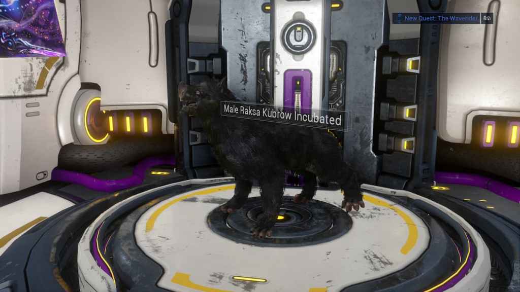 How to Get a Kubrow Collar in Warframe